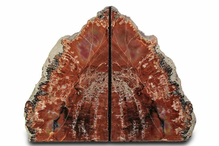 Tall Arizona Petrified Wood Bookends - Brick Red #382162